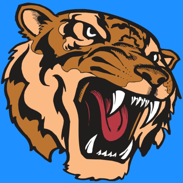 BAW TIGER 07 RC Thumbnail