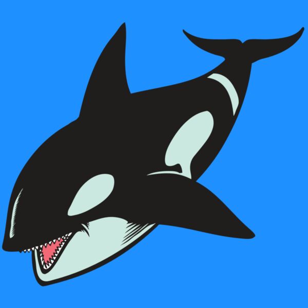 BAW KLRWHALE 02 RC Thumbnail