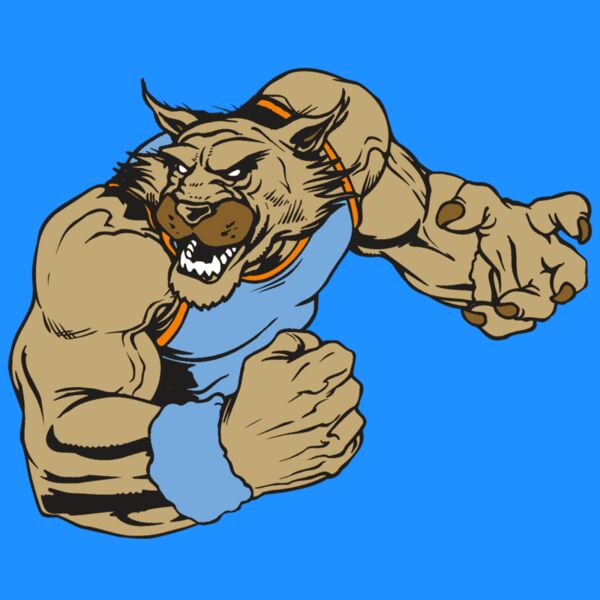 AR WILDCAT 46 RC Thumbnail