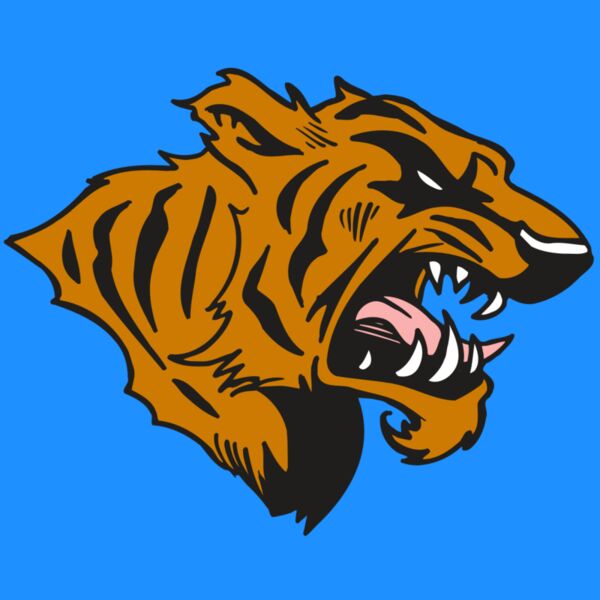 AR5 TIGER 08 RQC Thumbnail