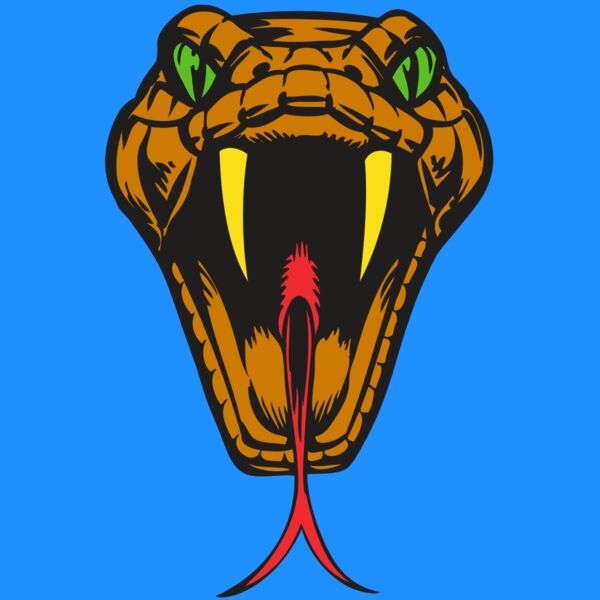 BAW SNAKE 05 RC Thumbnail