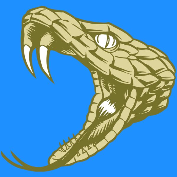 BAW SNAKE 11 RC Thumbnail