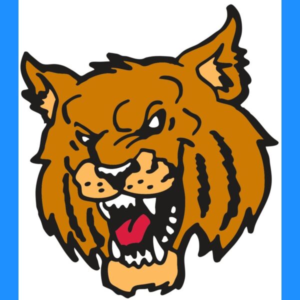 AR WILDCAT 36 RC Thumbnail