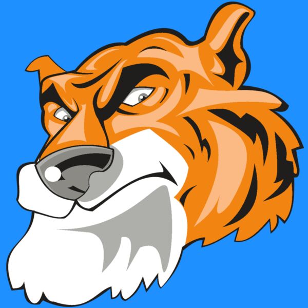 TIGER HD0501 RQC Thumbnail