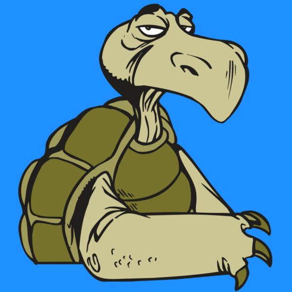 AR5 Turtle 01 RQC Thumbnail