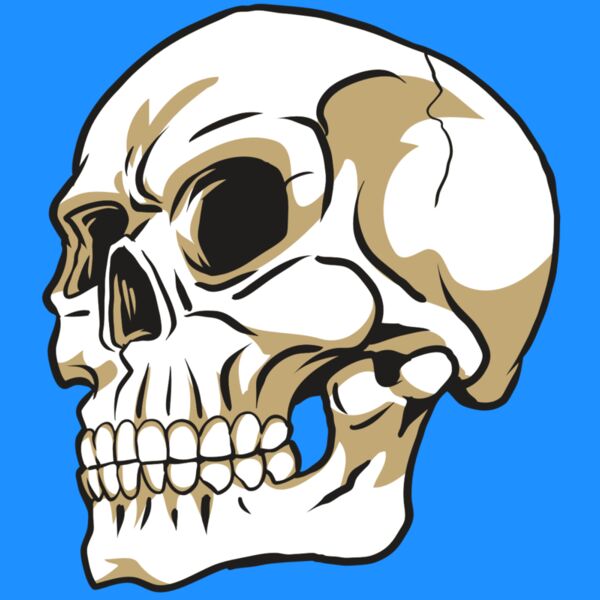 AR24 SKULL 08 RQC Thumbnail