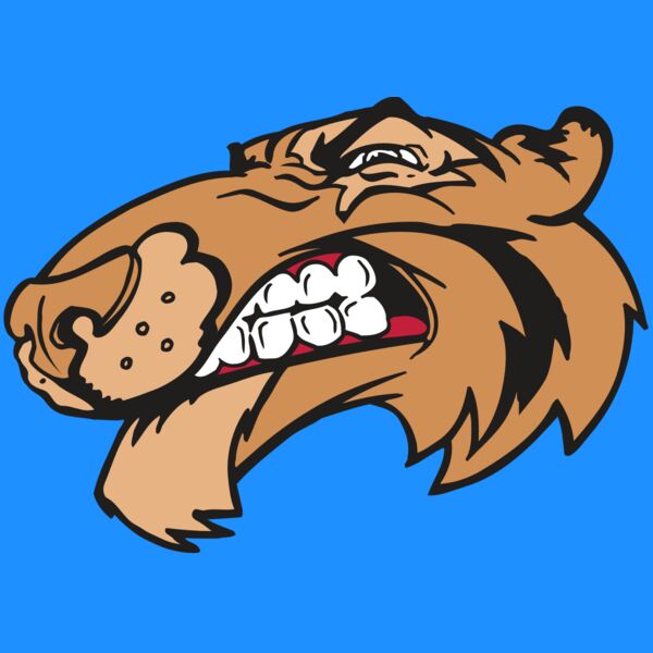 AR5 Tiger 13 RQC Thumbnail