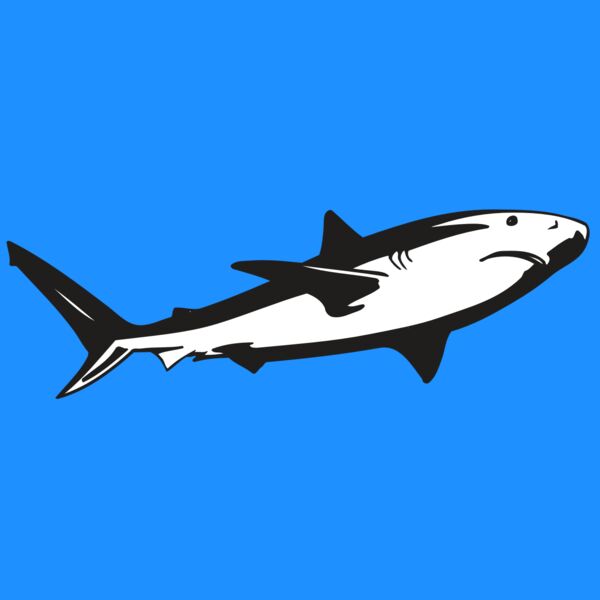 AR5 Shark 15 RQC Thumbnail