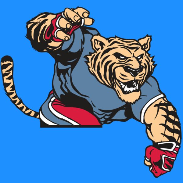 AR TIGER 30 RC Thumbnail