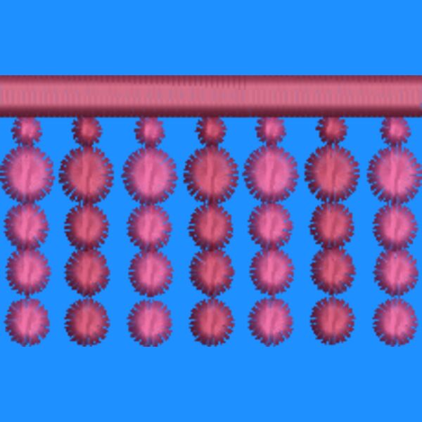 NA656 Thumbnail