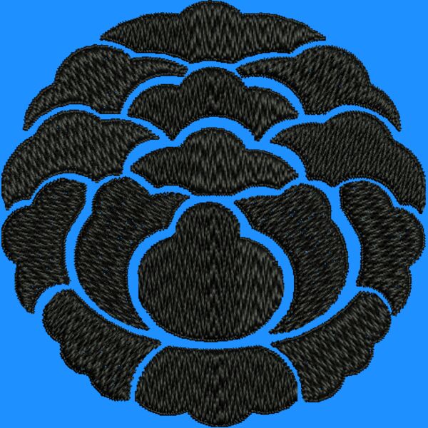 NZ580 Thumbnail