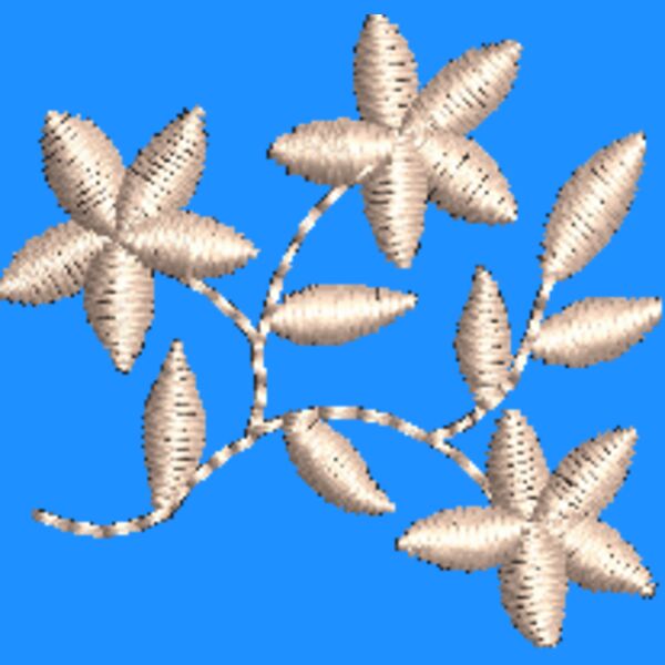 NZ791 Thumbnail