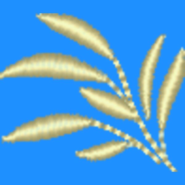 NZ815 Thumbnail